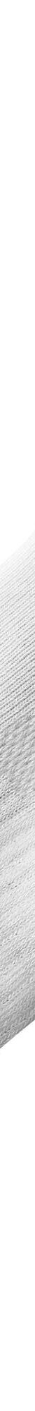 Chaussettes basses matelassées quarter - lot de 3 paires (blanc) Chaussettes basses matelassées quarter - lot de 3 paires (blanc)